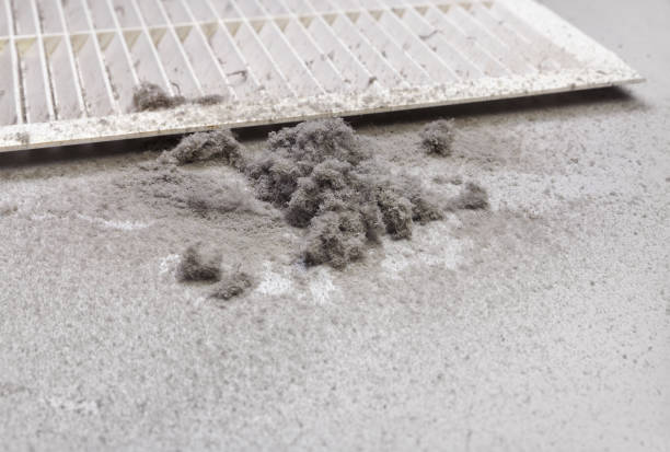 Best Air Vent Cleaning Services  in Turpin Hills, OH