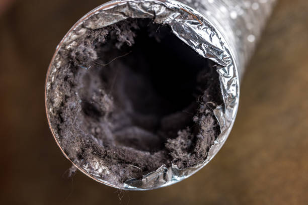 Best Air Duct Cleaning Near Me  in Turpin Hills, OH