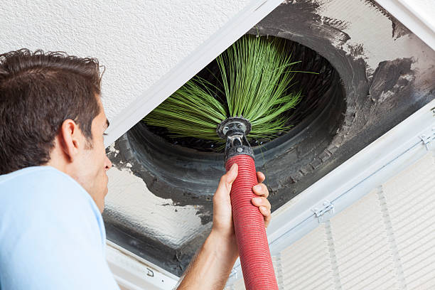 Best Ductwork Cleaning Services  in Turpin Hills, OH